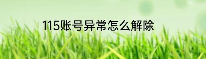 115账号异常怎么解除