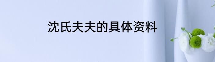 沈氏夫夫的具体资料