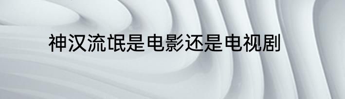 神汉流氓是电影还是电视剧