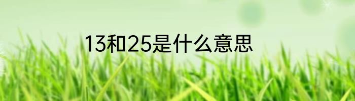 13和25是什么意思