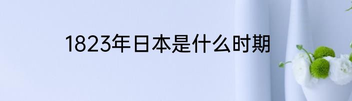 1823年日本是什么时期