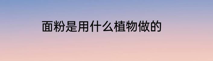 面粉是用什么植物做的