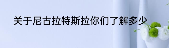 关于尼古拉特斯拉你们了解多少