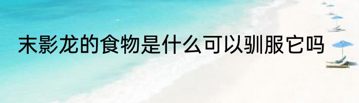 末影龙的食物是什么可以驯服它吗