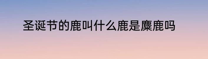 圣诞节的鹿叫什么鹿是麋鹿吗