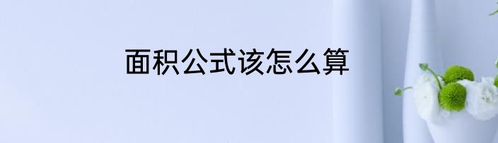 面积公式该怎么算