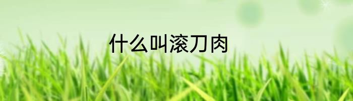 什么叫滚刀肉