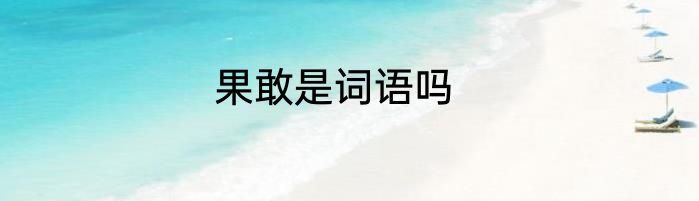 果敢是词语吗