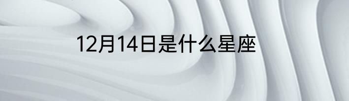 12月14日是什么星座