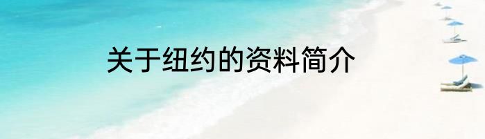 关于纽约的资料简介