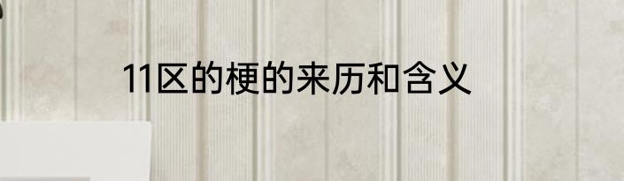 11区的梗的来历和含义