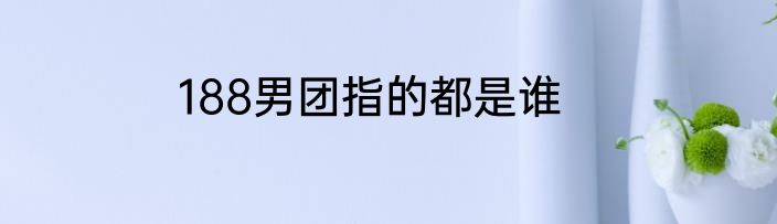 188男团指的都是谁