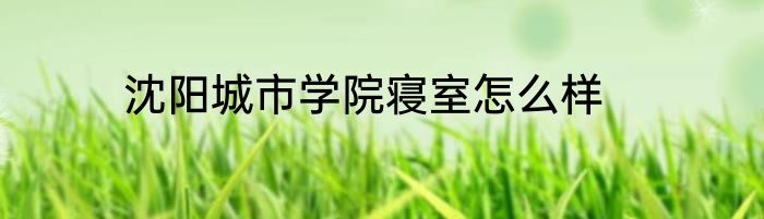 沈阳城市学院寝室怎么样