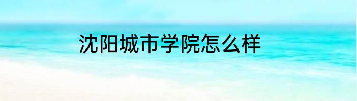 沈阳城市学院怎么样