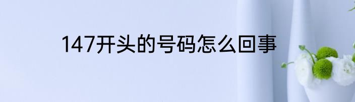 147开头的号码怎么回事