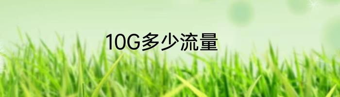 10G多少流量