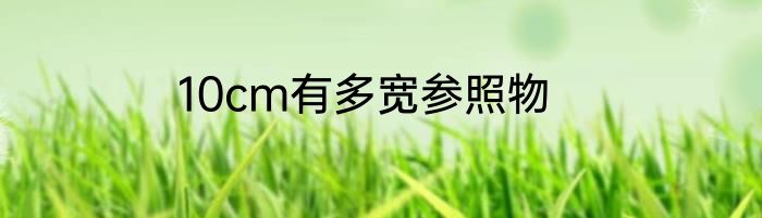 10cm有多宽参照物
