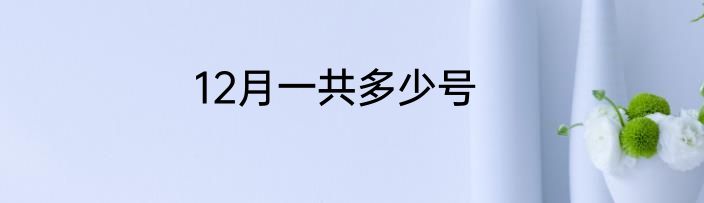12月一共多少号