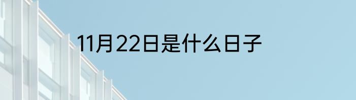 11月22日是什么日子