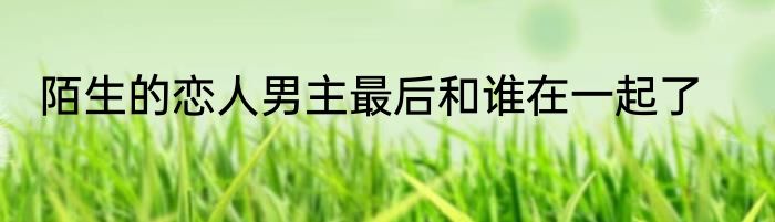 陌生的恋人男主最后和谁在一起了
