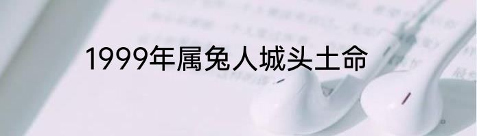 1999年属兔人城头土命