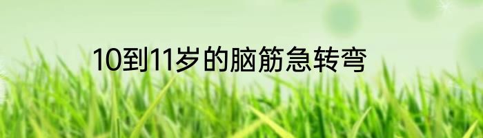 10到11岁的脑筋急转弯