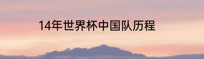 14年世界杯中国队历程