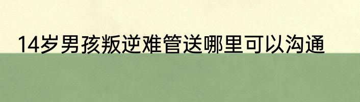 14岁男孩叛逆难管送哪里可以沟通