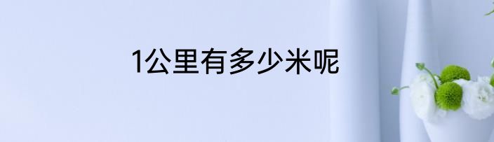 1公里有多少米呢
