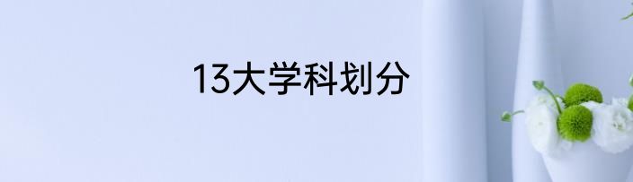 13大学科划分