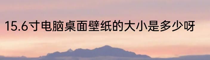 15.6寸电脑桌面壁纸的大小是多少呀