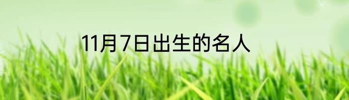 11月7日出生的名人