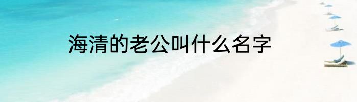 海清的老公叫什么名字