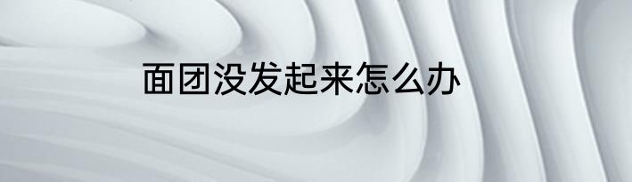 面团没发起来怎么办