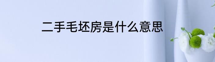 二手毛坯房是什么意思