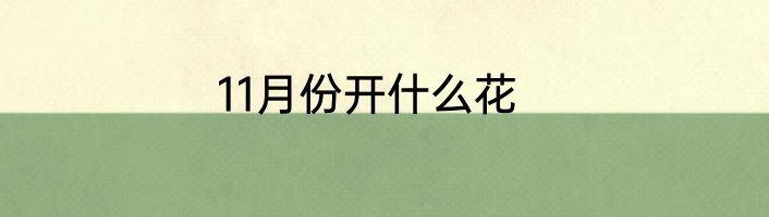 11月份开什么花