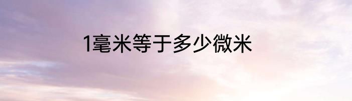 1毫米等于多少微米