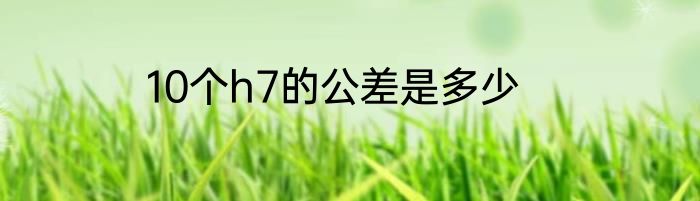 10个h7的公差是多少