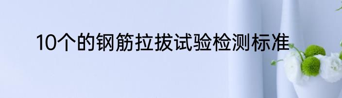 10个的钢筋拉拔试验检测标准