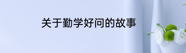 关于勤学好问的故事