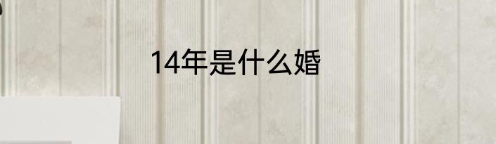 14年是什么婚