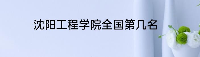 沈阳工程学院全国第几名