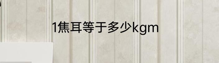 1焦耳等于多少kgm