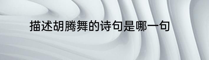 描述胡腾舞的诗句是哪一句