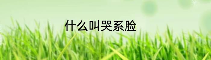 什么叫哭系脸