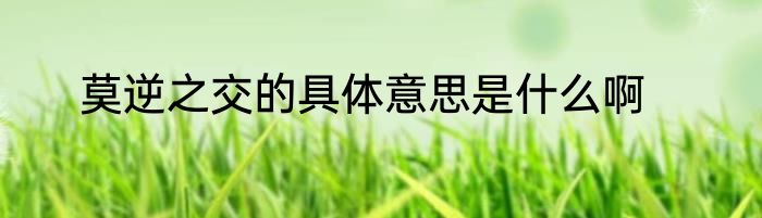 莫逆之交的具体意思是什么啊
