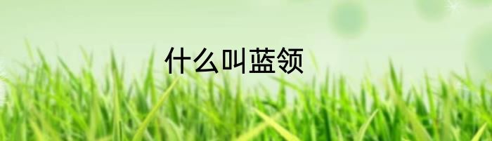 什么叫蓝领