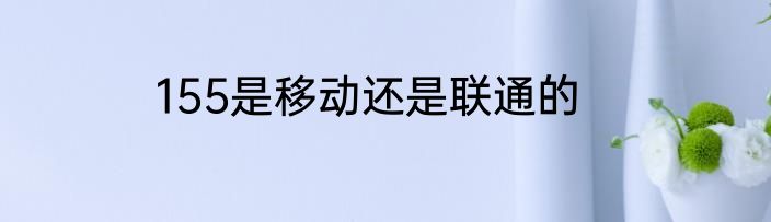 155是移动还是联通的