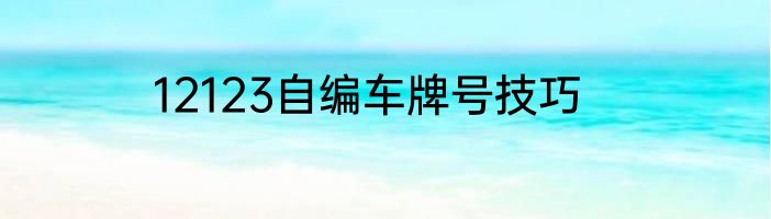 12123自编车牌号技巧