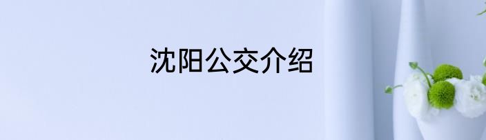 沈阳公交介绍